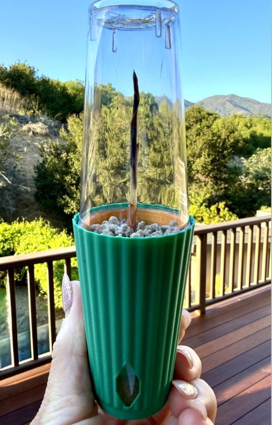 Optional taller clear cup nested in the cover pot
